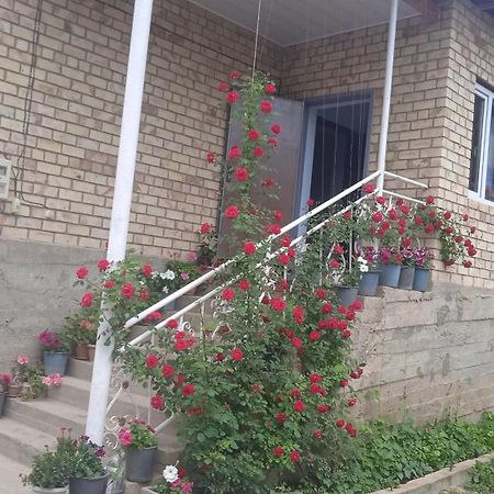 Guest House Kyzyl Alma Arkit Exteriér fotografie