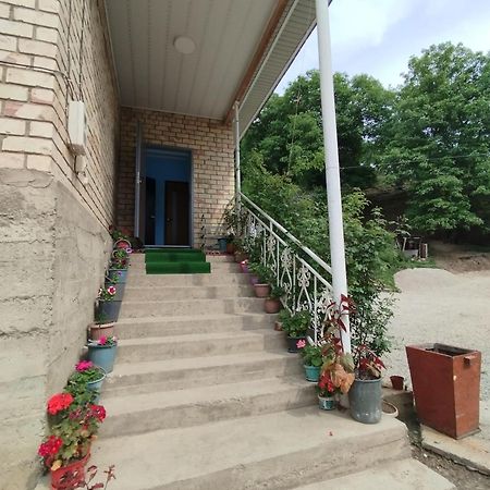 Guest House Kyzyl Alma Arkit Exteriér fotografie